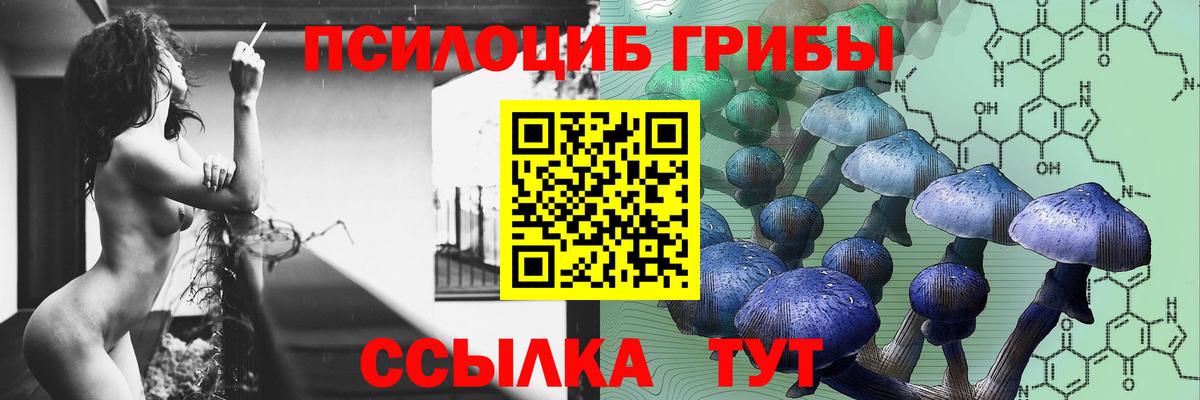 Псилоцибиновые грибы мицелий  Вход с VPN  Спасск-Дальний 